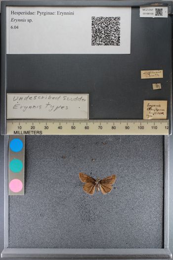 Media type: image;   Entomology 198109